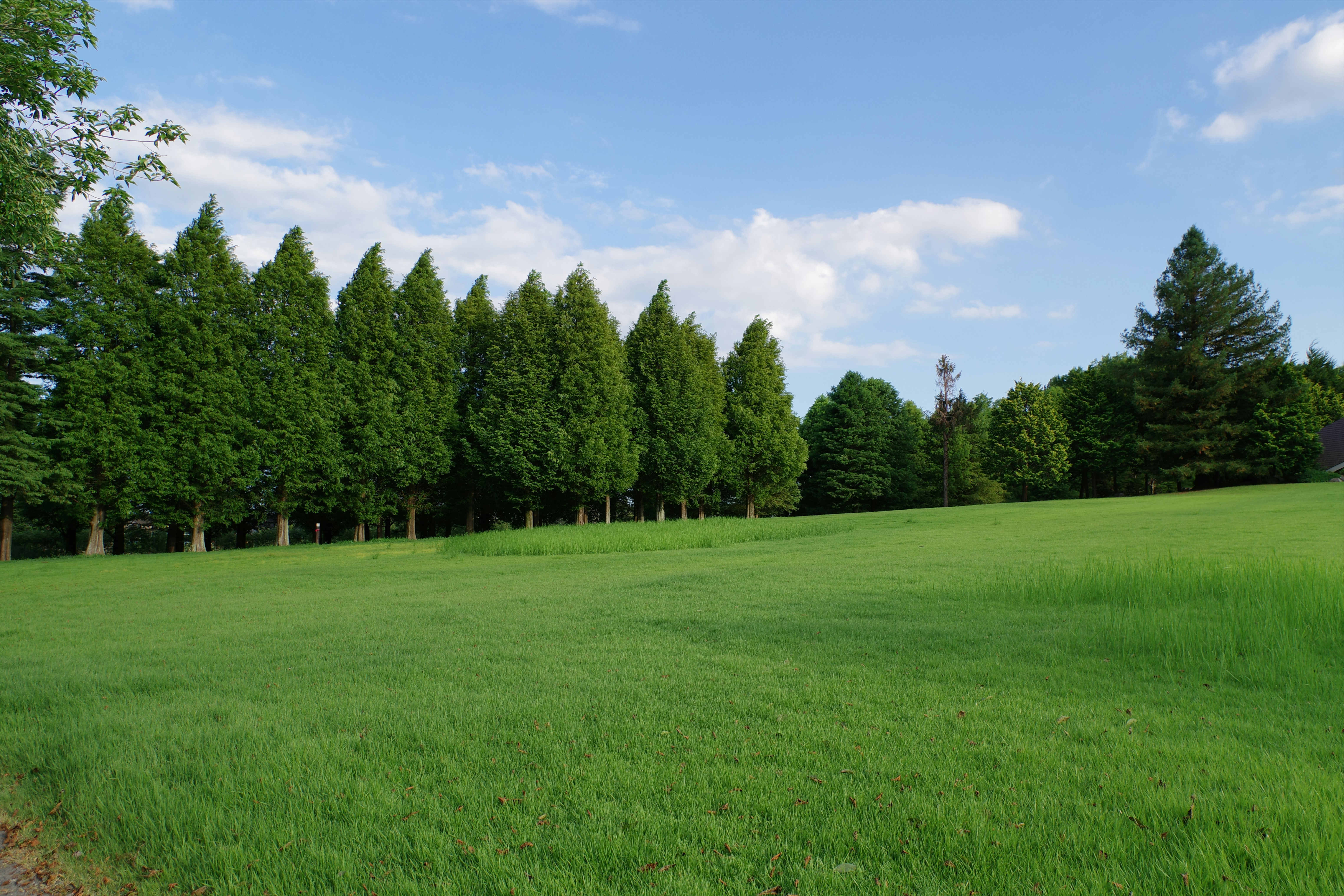 Commercial Grounds Maintenance Berkshire in Newbury and West Berkshire
