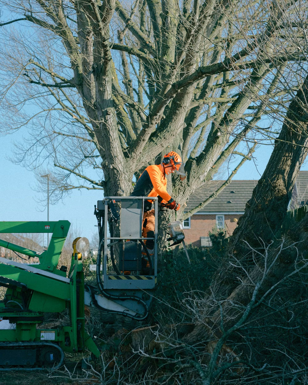 Sundog team maintaining grounds